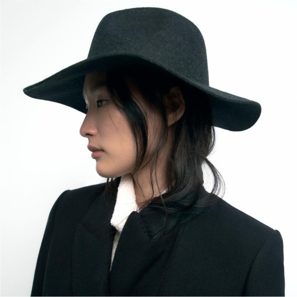 Zara classic 100% Wool gray hat